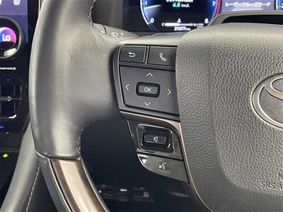 صورة مصغرة 13 لـ 2024 Toyota ALPHARD
