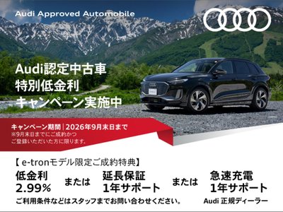 2025 AUDI SQ6 E-TRON — фото 2