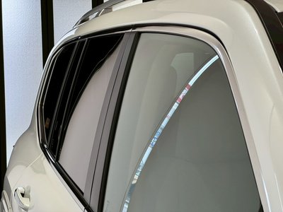 2025 Toyota LAND CRUISER 300 照片 16