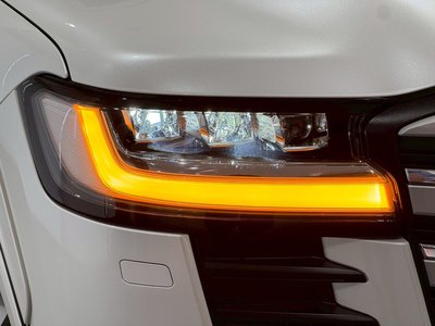 2025 Toyota LAND CRUISER 300 照片 19