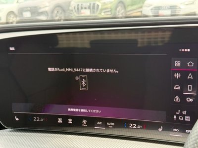 2025 AUDI Q5 照片 43
