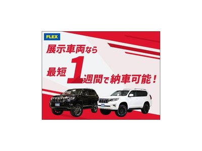 2023 Toyota LAND CRUISER PRADO 照片 98