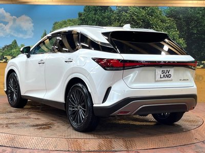 2023 Lexus RX thumbnail 64