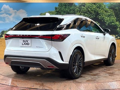 2023 Lexus RX thumbnail 17