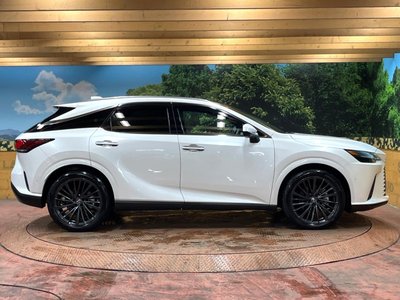 2023 Lexus RX thumbnail 63