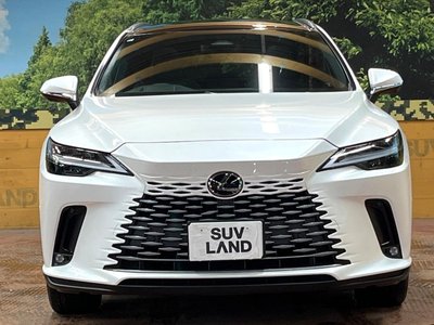 2023 Lexus RX photo 14