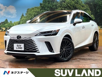 2023 Lexus RX photo 1