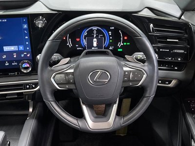 2023 Lexus RX photo 11