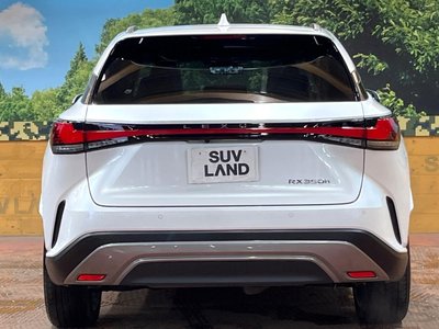 2023 Lexus RX photo 15
