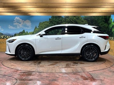 2023 Lexus RX thumbnail 65