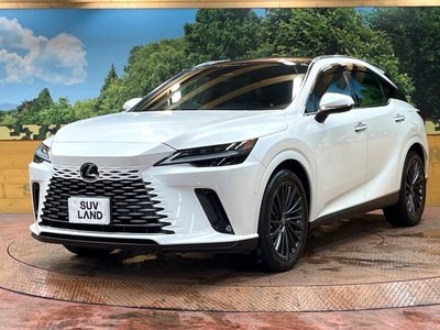 2023 Lexus RX thumbnail 62