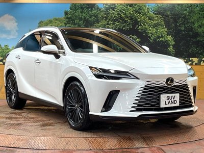2023 Lexus RX photo 16