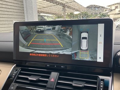 2025 Toyota LAND CRUISER 300 photo 6