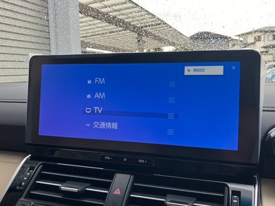 2025 Toyota LAND CRUISER 300 photo 7
