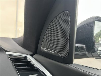 2020 BMW X7 photo 4