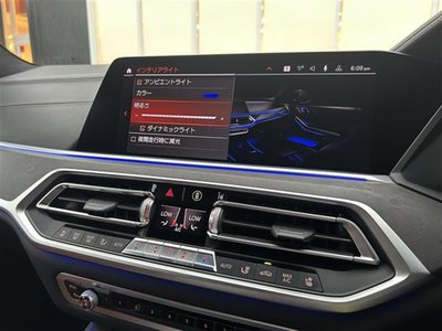 2020 BMW X7 thumbnail 28