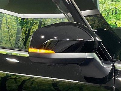 2024 Toyota ALPHARD 照片 25