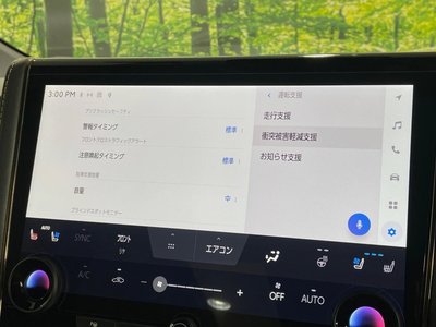 2024 Toyota ALPHARD 照片 42