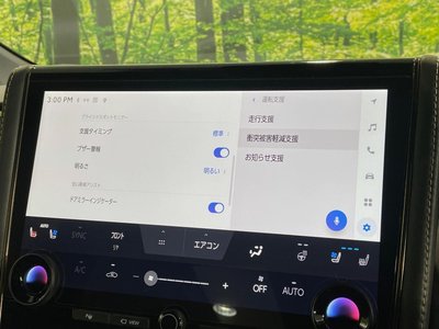 2024 Toyota ALPHARD 照片 38