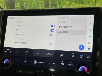 2024 Toyota ALPHARD 照片 37