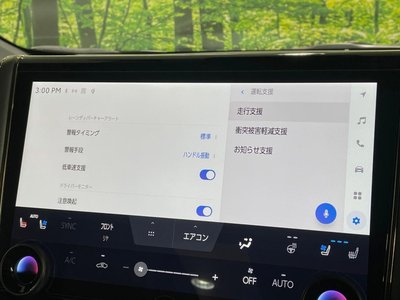 2024 Toyota ALPHARD 照片 41