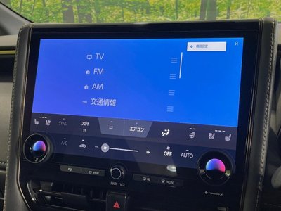 2024 Toyota ALPHARD 照片 36