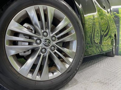 2024 Toyota ALPHARD 照片 14