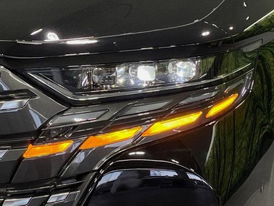 2024 Toyota ALPHARD 照片 26