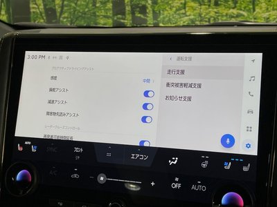 2024 Toyota ALPHARD 照片 40