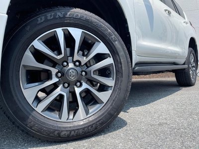 2023 Toyota LAND CRUISER PRADO 照片 16