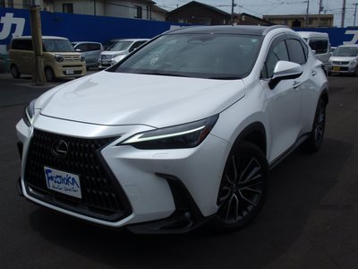 2024 Lexus NX 缩略图 7