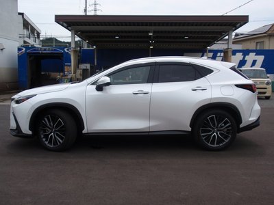 2024 Lexus NX 缩略图 22