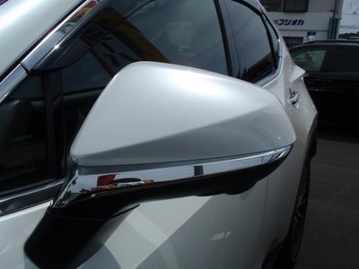 2024 Lexus NX 缩略图 25
