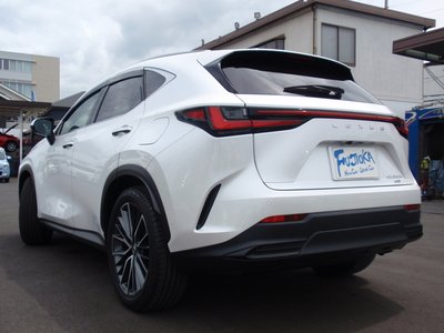 2024 Lexus NX 缩略图 42