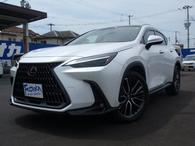 2024 Lexus NX 缩略图 38