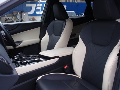 2024 Lexus NX 缩略图 20