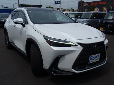 2024 Lexus NX 缩略图 9