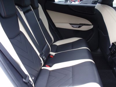 2024 Lexus NX 缩略图 13