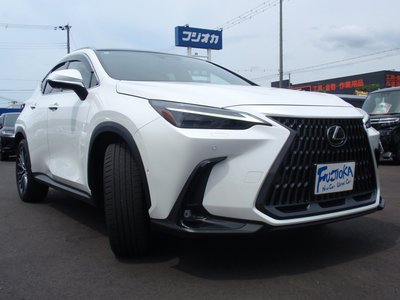 2024 Lexus NX 缩略图 40
