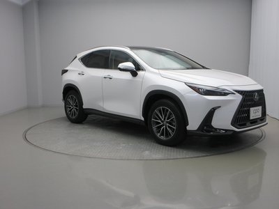 2025 Lexus NX — фото 7