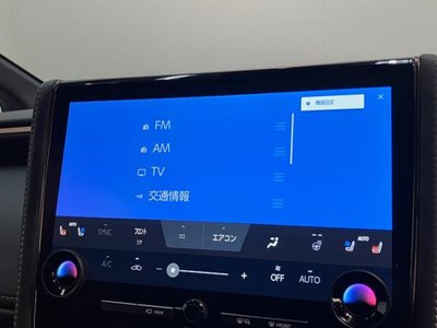 2024 Toyota ALPHARD 照片 60