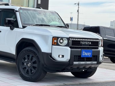 2024 Toyota LAND CRUISER 250 photo 14