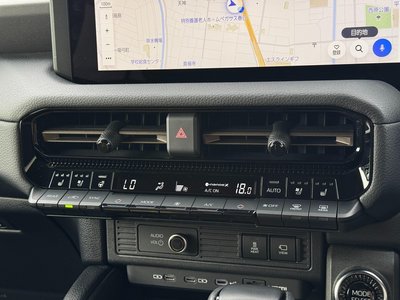 2024 Toyota LAND CRUISER 250 photo 69