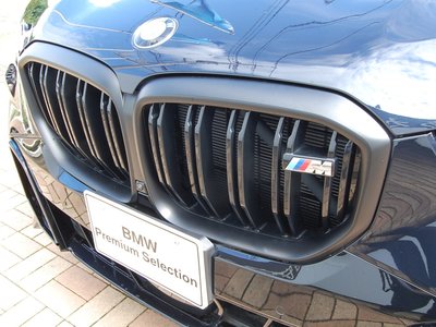2024 BMW X5 thumbnail 75