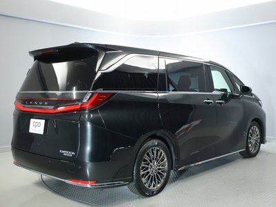 2025 Lexus LM photo 6
