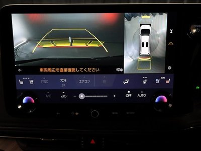 2025 Lexus LM photo 16