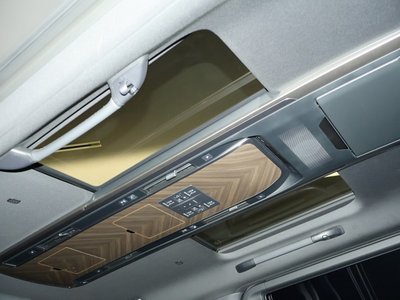 2025 Lexus LM photo 11