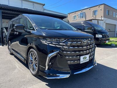 2025 Toyota ALPHARD — фото 92