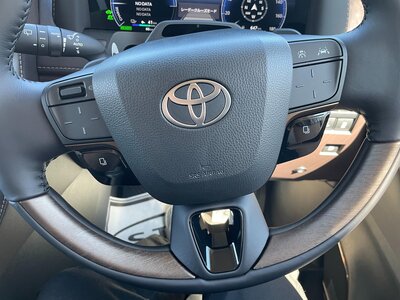 2025 Toyota ALPHARD — фото 14