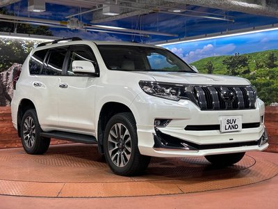 2022 Toyota LAND CRUISER PRADO 照片 17